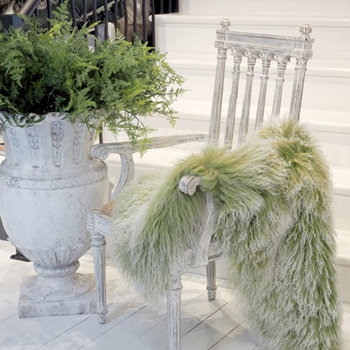 At Chintz & Company, we carry an large selection of throws.  Luxurious faux-fur, BabyMo mohair, wool/silk and in-house custom designed throws.