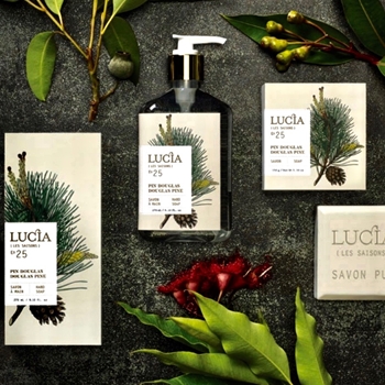 Lucia Les Saison