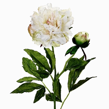 Peony 28in