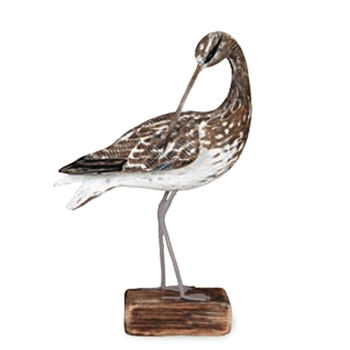 Curlew Preening 15in