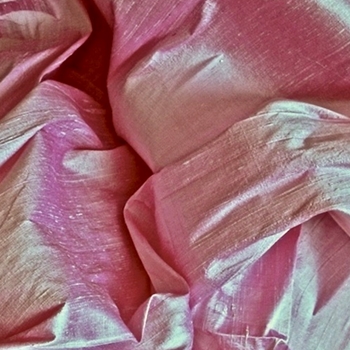 Petal Dupioni Silk