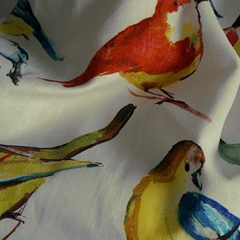 43. Verde Print Birdwatcher Summer
