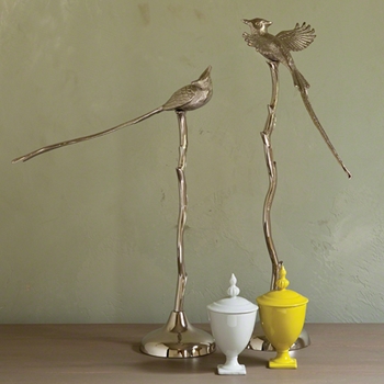 Sitting/Flying Jays