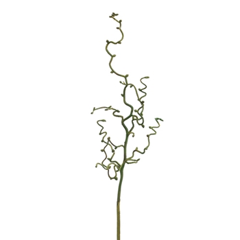 Twig Contort 30in