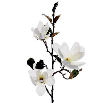 Magnolia 37in