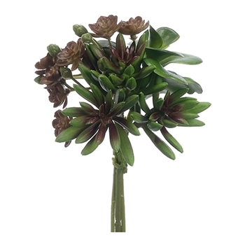 Succulent Bouquet 7in