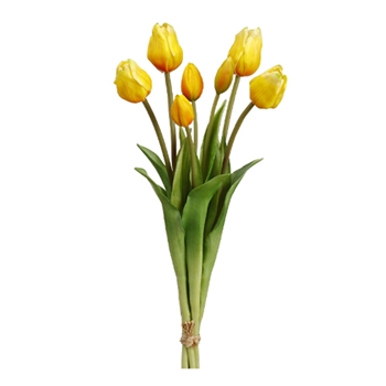 Tulip Bundle/7 Stems 18in