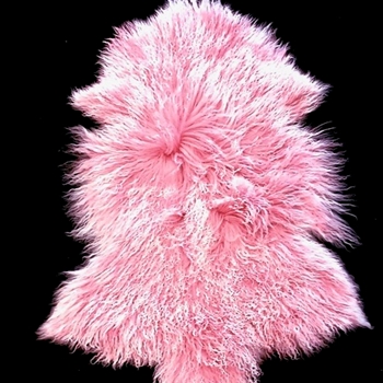Tibet Mongolian Fur Petal Pink Pelt 34W/22D