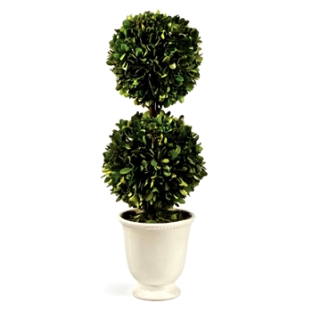 Boxwood Preserved - Topiary 2Ball 8W/19H White Ceramic Urn