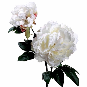 Peony - Bloom 2Head White 19in - FSP705-CR