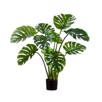 Monstera Plant - 39in 9 Leaf Black Pot - LPP120-GR/TT
