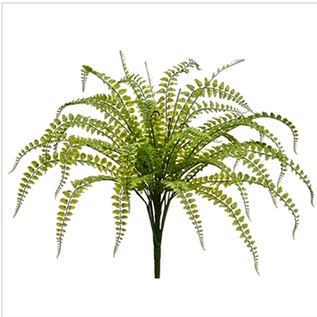 Fern - Fishtail Plant 25in - PBF112-GR