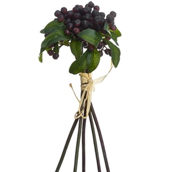 Berry - Bundle Aubergine 11in - XBS663-BU