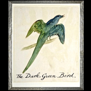 29W/36H Framed Print Lear Dark Green Bird