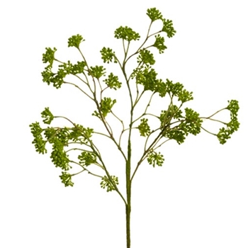 Sedum - Seed Spray 16in Green - FSS668-GR