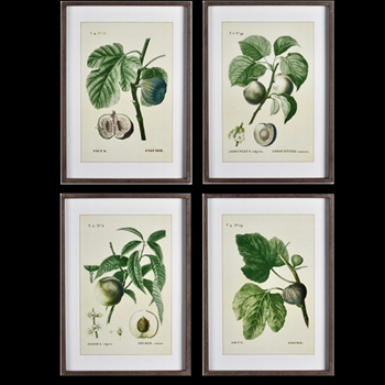 *20W/28H Framed Print - Fruits Green