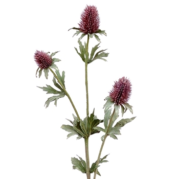 Thistle - Violet 26IN - FST420-LV