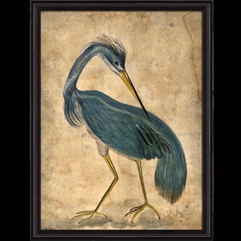 19W/26H Framed Print - Blue Bird - Kolene Spicher