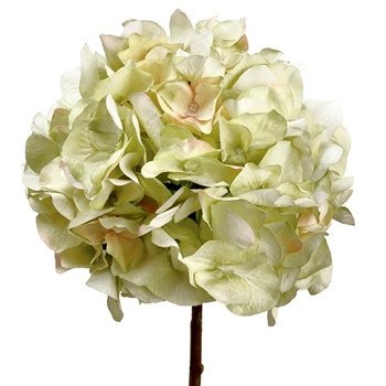 Hydrangea - Celadon 21in -  - FSH394-GR/LT