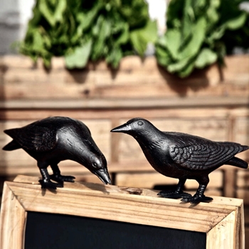 Bird - Crow Set of 2 Cast Iron 10x5x6H