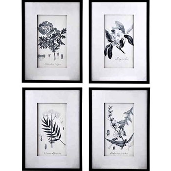 *20W/28H Framed Print - Botanicals Grey & White