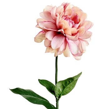 Dahlia - Petal Pink 21IN - FSD121-PK/TT