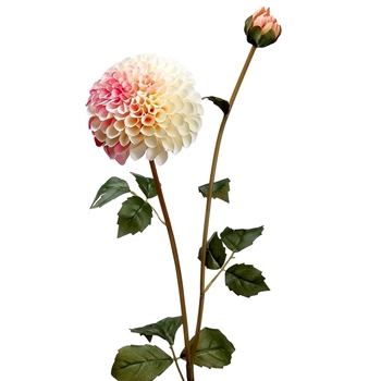 Dahlia - Pom Petal Pink Chablis  31IN - FSD291-PK/CR