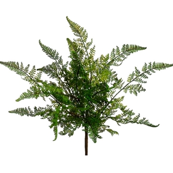 Fern - Leather Bush 16in Green - PBF583-GR