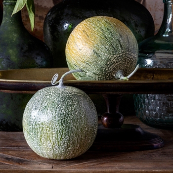 *Fruit - Cantaloupe 6in