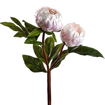 Peony - Petal 22in 2 Heads - FSP025-BS