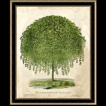 *28W/34H Glass Framed Print - Kilmamok Willow Frame MC1974