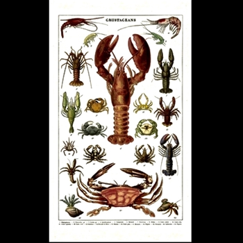 Tea Towel - Crustaceans 19x32 100% Cotton - Italy