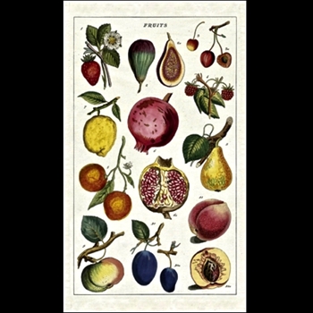 Tea Towel - Fruit 19x32 100% Cotton - Italy