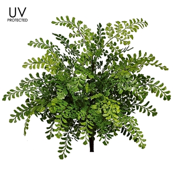 Fern - UVP Maiden Bush 19IN - UV Protected - PBF419-GR