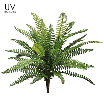 Fern - UVP Boston Plant 19IN - UV Protected - PBF426-GR