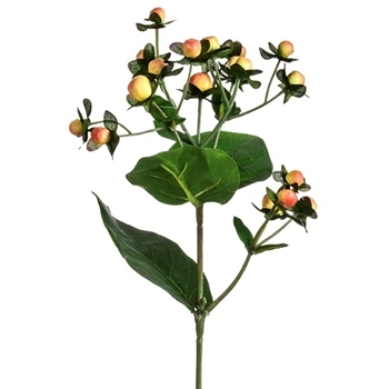 Berry - Hypericum Pick Salmon 22in - FSB038-PK