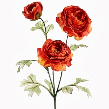 Ranunculus - Vintage Dried Cayenne 25in - FSR160-FL