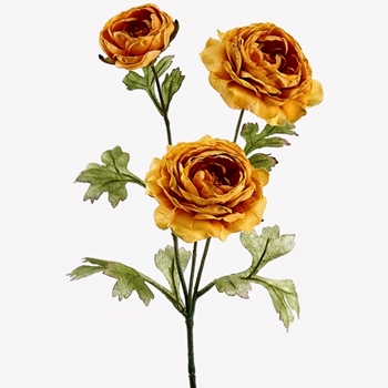 Ranunculus - Vintage Dried Ochre 25in - FSR160-MD