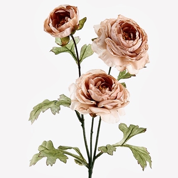 Ranunculus - Vintage Dried Blush 25in - FSR160-BE/MV