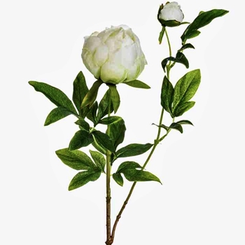 Peony - Classic Budding 26in Cream - FSP102-CR