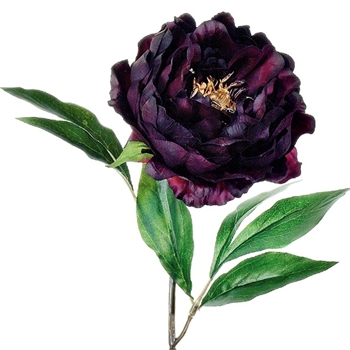 Peony - Open Aubergine 18in - FSP435-EP