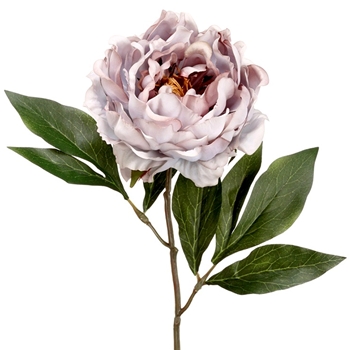 Peony - Antique Mauve 18in - FSP435-GY