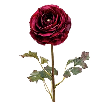 Ranunculus - Vintage Dried Burgundy 24in GTR257-BU