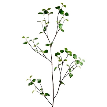 Bay Leaf - Branch Bay 61in  Green - PSB719-GR