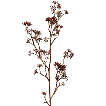 Berry - Sedum Branch Rust 38in - FSS602-BR