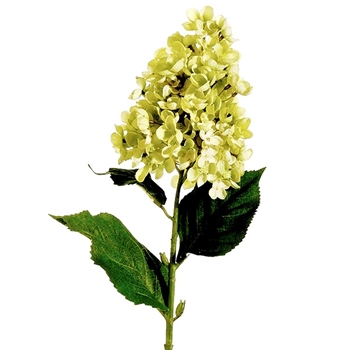 Hydrangea - Peegee Kiwi Green 28in - FSH008-LM