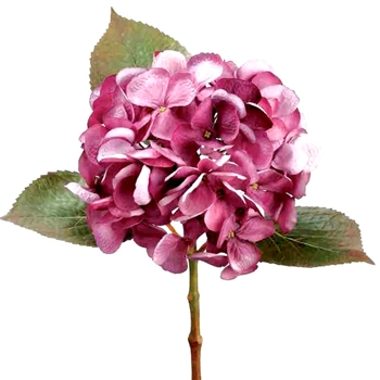 Hydrangea - Rose Pink 17in - FSH426-BB/MV