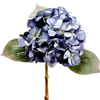 Hydrangea - Blue 17in - FSH426-BL