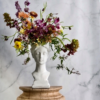 *Vase - Acropolis Bust 8W/6D/14H White