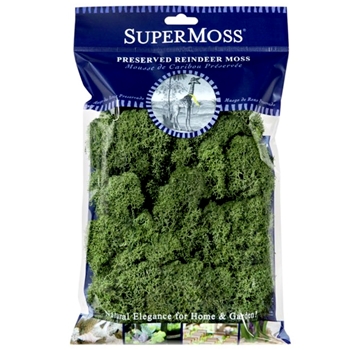 Moss Preserved - Reindeer Basil 4OZ  10X11IN Bag